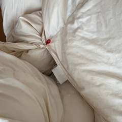 布団の西川　羽毛布団の画像