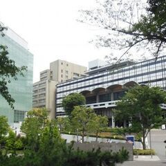 部活引退後、夏から受験本番まで——MARCH以上の経済学部を狙うなら今やるべき勉強の画像