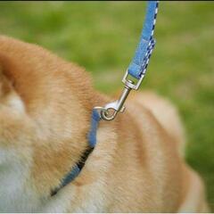 ドッグリード デニムカウボーイ 幅 15mm 長さ120cm ベ...