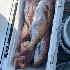 釣り仲間募集　