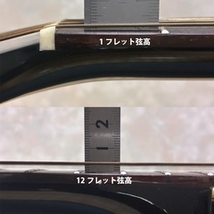 タカミネ エレアコ PT-106 中古 ハードケース付の画像