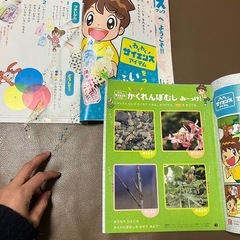 ベネッセこどもチャレンジ　わくわくサイエンス　1年生12冊の画像