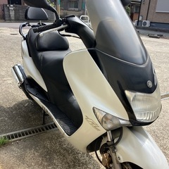 エンジン始動動画あり堺市堺区マジェスティ125fiの画像