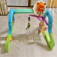 メリージム