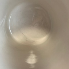 ディズニー　　　スティッチの画像