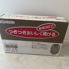 ZOJIRUSHI EFB-S13-TB