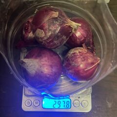 玉ねぎ3kgセット❶特大700g前後2個❷南あわじ新玉SS❸赤小玉SS以下の画像