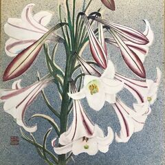 井上 十四春 『高砂百合』 絵画 1998.4 作品の画像