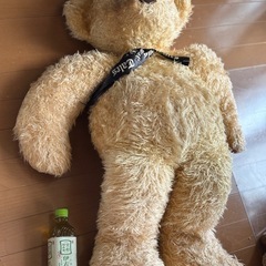 特大クマさんぬいぐるみ