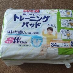 グーン おむつバイバイトレーニングパッドの画像