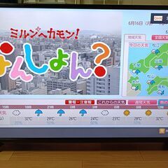 無料配送 2018年製 TEES 40V型 液晶テレビ LE-4...