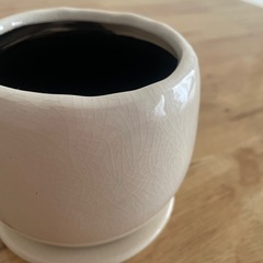 植木鉢　受け皿付　白の画像