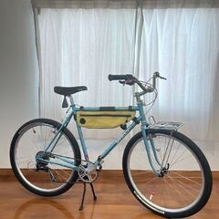 SURLY pack-rat