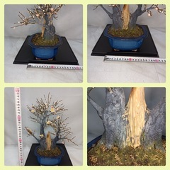 [八5641]  アートフラワー　梅　造花　ハンドメイド盆栽の画像