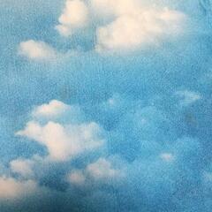 空柄ラグ譲ります！の画像