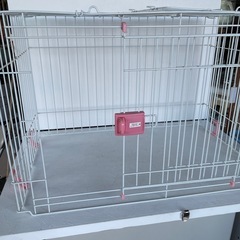 うさぎちゃん🐇のゲージの画像