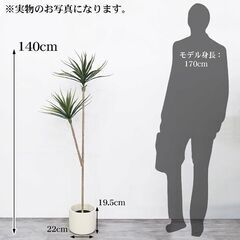 観葉植物 フェイク ユッカツリー 人工観葉植物 140cm 鉢付き リアル シンプル 水やり不要 インテリア 玄関 リビング お祝い おしゃれ ドラゴンツリー シンボルツリー KS-05の画像