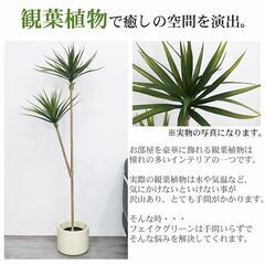 観葉植物 フェイク ユッカツリー 人工観葉植物 140cm 鉢付き リアル シンプル 水やり不要 インテリア 玄関 リビング お祝い おしゃれ ドラゴンツリー シンボルツリー KS-05の画像