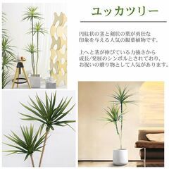 観葉植物 フェイク ユッカツリー 人工観葉植物 140cm 鉢付き リアル シンプル 水やり不要 インテリア 玄関 リビング お祝い おしゃれ ドラゴンツリー シンボルツリー KS-05の画像