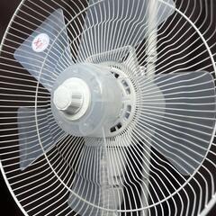 アイリスオーヤマ　リビング扇風機　30cm  2024年製の画像