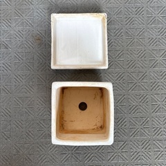 鉢　ホワイト　陶器の画像
