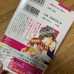 【新品未開封】恋はつづくよどこまでも　3巻のみの画像