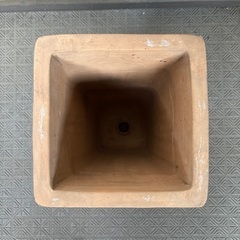 傘立てにもなる植木鉢の画像