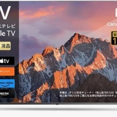 
FPD チューナーレステレビ 55V型 4K Google T...