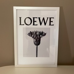 LOEWE ロエベ アートポスターの画像