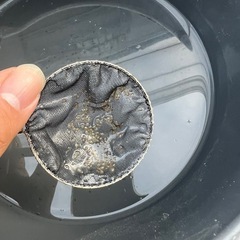 みじんこ　メダカの画像