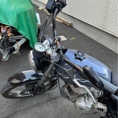 グラストラッカー250の画像