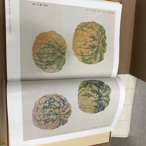 福田平八郎 作品と素描　全二巻揃 光村図書 定価95,000円 　250616- 福田平八郎 作品と素描 全二巻揃 光村図書 定価95,000円 大版