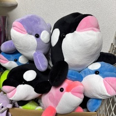 須磨シーワールド限定くじぬいぐるみたくさんの画像