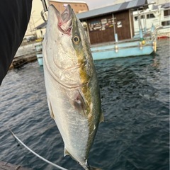釣りに行ってみませんか🎣🙌🏻