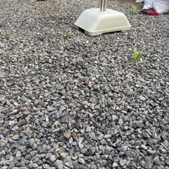 ※一旦保留中※無料！庭　石の画像