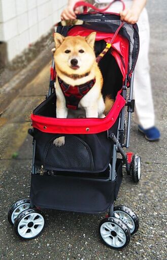 ペットカート 対面式 折りたたみ 多頭 中型犬 小型犬 猫 2way 軽量 組立簡単 工具不要 介護用 ドッグカート ペットバギー