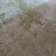🌿去年アクタスで購入、カーペットの画像