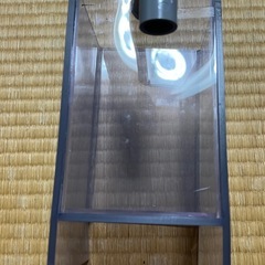 アクリル水槽　メダカ　魚　配管　エンビ　入れ物　の画像
