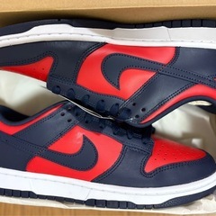 NIKE DUNK LOW RETRO 27.0cm 未使用新品の画像