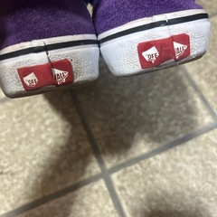 VANS  23.5cmの画像