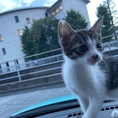 生後１ヶ月半男の子