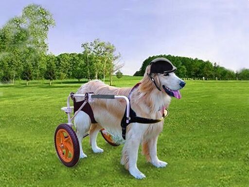 犬用車椅子 大型犬用車椅子 後ろ足用 ペットカートホイール 大型犬用犬用車椅子 調節可能 犬用ペット車椅子 後ろ足リハビリ 後ろ足サポート
