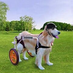 犬用車椅子 大型犬用車椅子 後ろ足用 ペットカートホイール 大型...