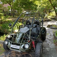 バグライダー バギー 激レア 希少