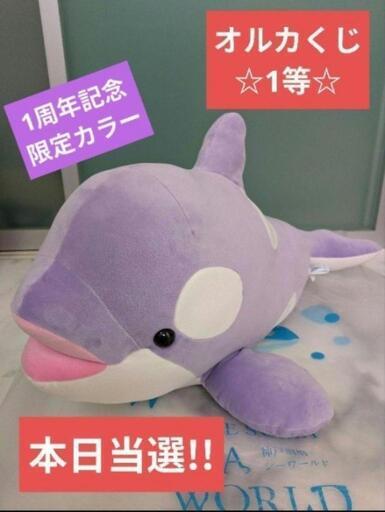 神戸須磨シーワールド オルカくじ 1等 シャチぬいぐるみ