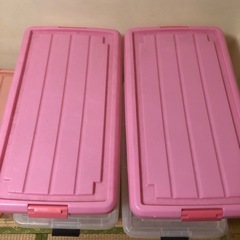 【17日お渡し限定】収納ケースキャリー付き5セットの画像