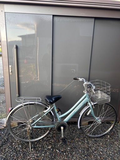 アルベルト、パナソニック