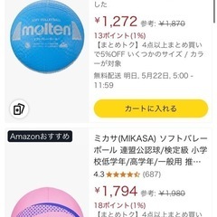 ソフトバレー
