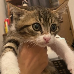 【サム】寝ると無防備な男の子 生後2ヶ月
