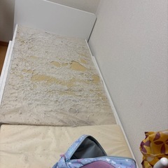 子ども用ベッドの画像